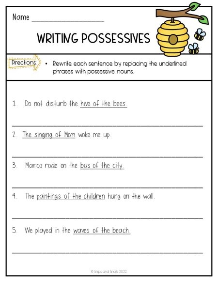 Third grade phonics worksheet demonstrating correct placement of possessive apostrophes in nouns with examples like womens hats versus womens hats