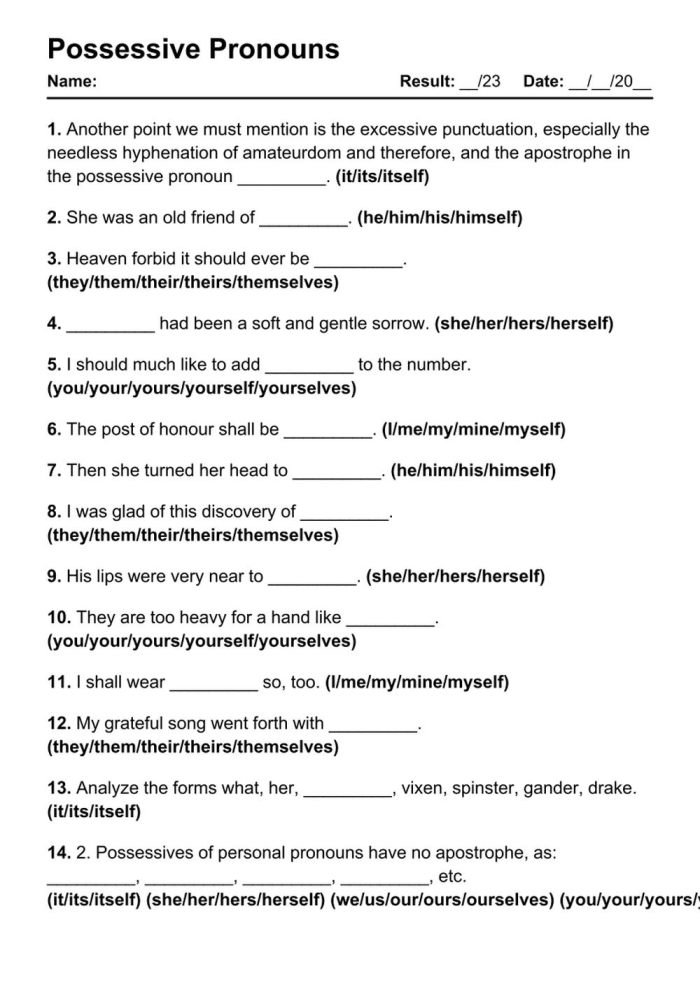 Third grade students practicing possessive pronouns with this grammar worksheet