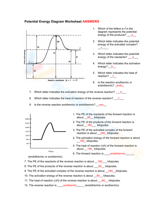 Worksheet illustrating changes in potential energy for sixth-grade students