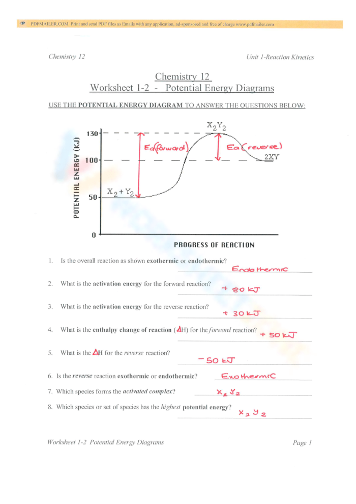 A sixth grade student completing a physical science worksheet about changes in potential energy