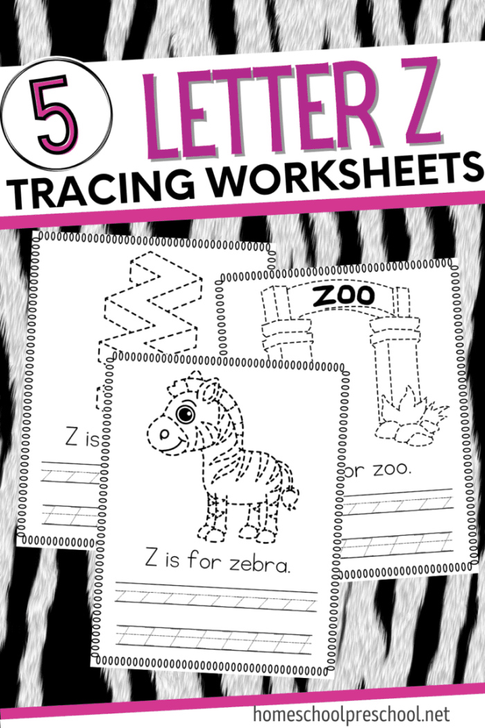 Worksheet for tracing the letter Z, designed for pre-K students to enhance fine motor skills. Practice Tracing the Letter Z worksheet for preschoolers, focusing on letter formation.