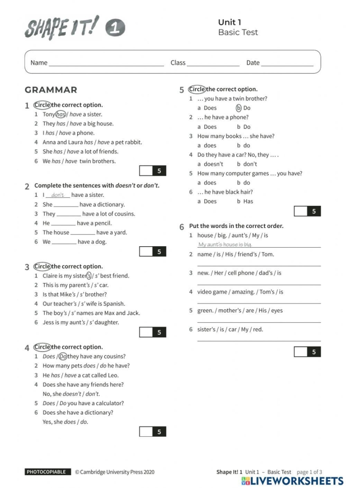 Shape It Up! 2D Geometry Skills Worksheet Number 16 Pre-K assessment worksheet featuring 2D shape identification and drawing tasks