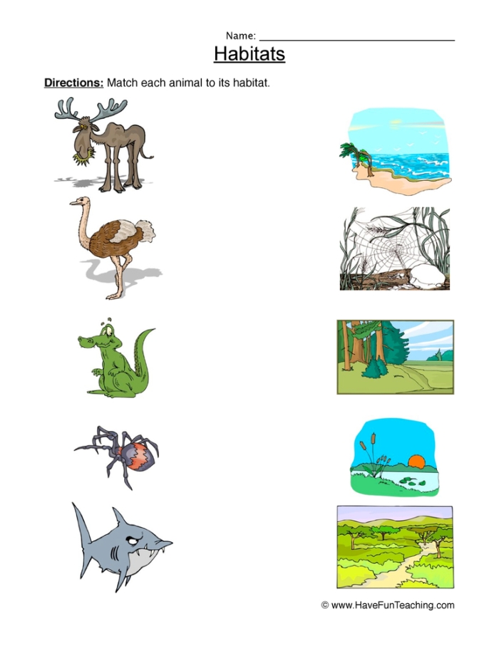 Life Science worksheet for Pre-K Colorful My Animal Habitat worksheet for Pre-K students exploring various plants and animals. Engaging Life Science activity for young learners to discover global habitats.