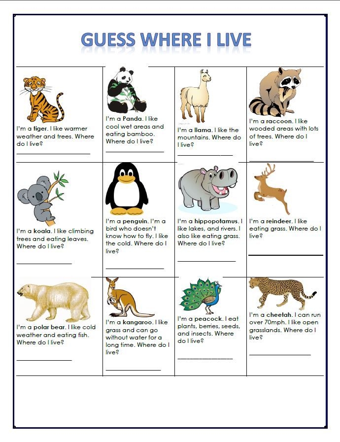 Pre-K animal guessing game worksheet focusing on the sight word am for place value lesson 15
