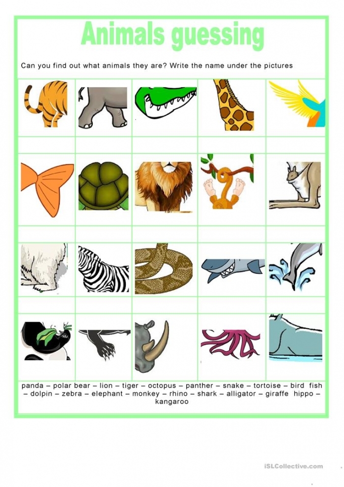 Colorful Animal Guess worksheet for practicing the sight word "am" in Pre-K. Engaging guessing game for young learners to enhance their reading skills.