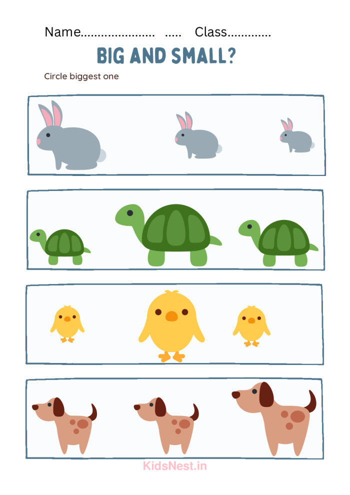 Worksheet featuring various items for kids to identify as big or small