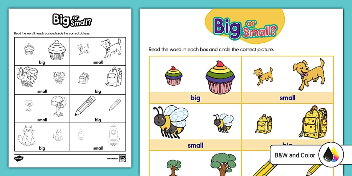 Worksheet for identifying big and small items aimed at Pre-K children