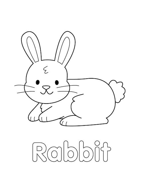 Writing worksheet for Pre-K A whimsical bunny coloring page inviting kids to use vibrant Easter colors. Adorable bunny worksheet for Pre-K students to celebrate the holiday.