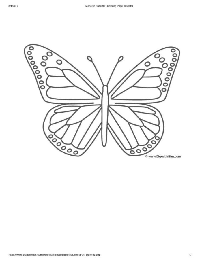 Pre-K Spanish worksheet featuring a simple butterfly cutout template for arts and crafts