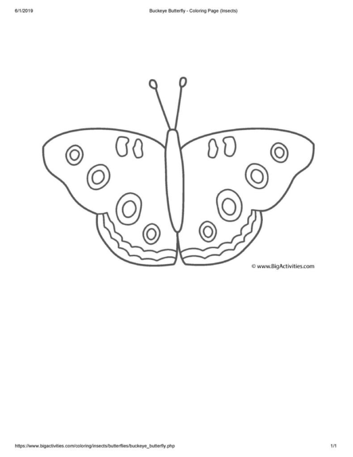 Pre-K Spanish worksheet featuring a simple butterfly cutout template for arts and crafts