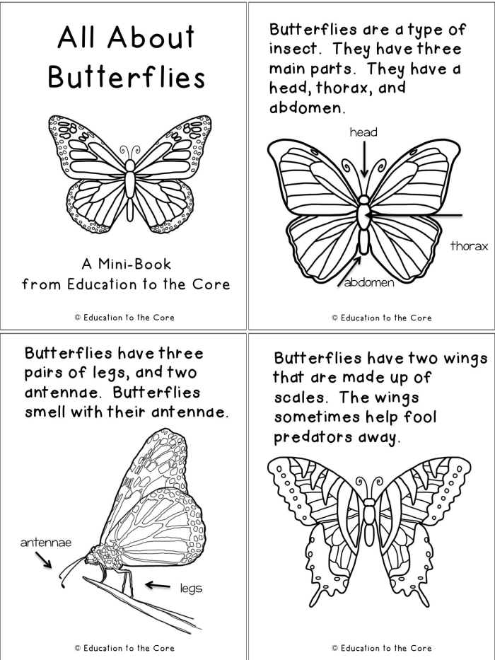 Fly, Butterfly, Fly! tracing activity for Pre-K geometry skills Colorful worksheet helping butterflies soar along curved paths