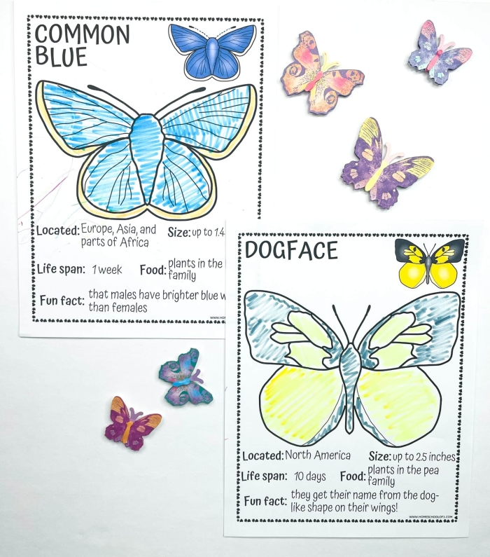 Fly, Butterfly, Fly! worksheet for Pre-K geometry skills Colorful worksheet for tracing curved lines to help butterflies fly