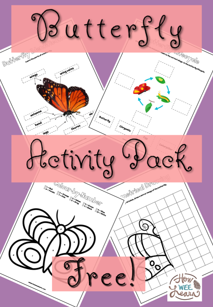 Fly, Butterfly, Fly! tracing activity for young learners in geometry Colorful butterflies tracing curved lines in a geometry worksheet for Pre-K students