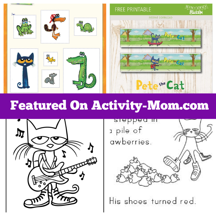 Cat themed math coloring activity for Pre-K students worksheet 12 Pre-K algebra color by number cat worksheet 12 with color key