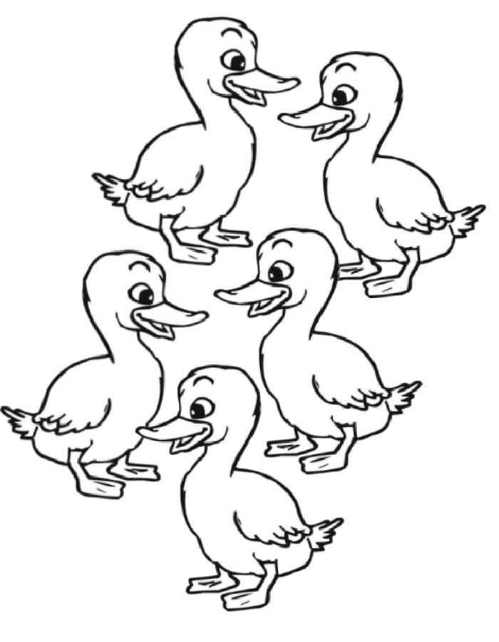 Pre-K Color by Number Ducks worksheet featuring two friendly swimming ducks