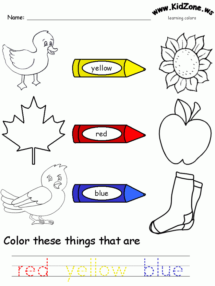 Color Knowledge Check-In worksheet for Pre-K students featuring a fun coloring activity to test color recognition. Engaging image showcasing a vibrant coloring worksheet focused on subtraction skills.