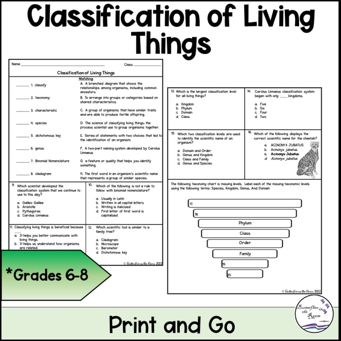 Engaging living things identification worksheet for Pre-K learners Coloring worksheet for preschoolers to learn about living things
