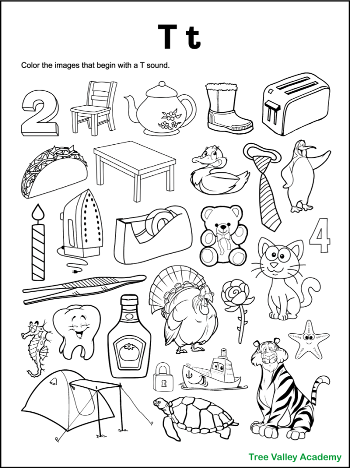 Life Science worksheet for Pre-K Colorful T is for... worksheet designed for preschoolers to learn and enjoy letter T sounds. Engaging alphabet activity for Pre-K children to practice and color.