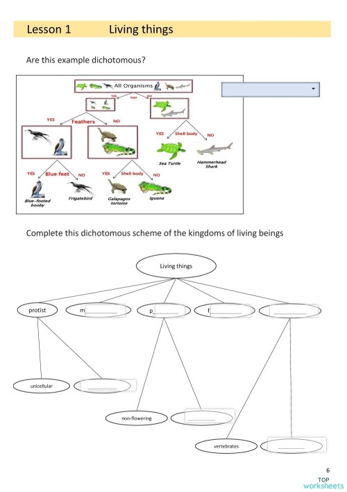 Living Things Worksheet - Fun Coloring for Pre-K Learners Colorful worksheet for Pre-K students to identify living things through coloring activities