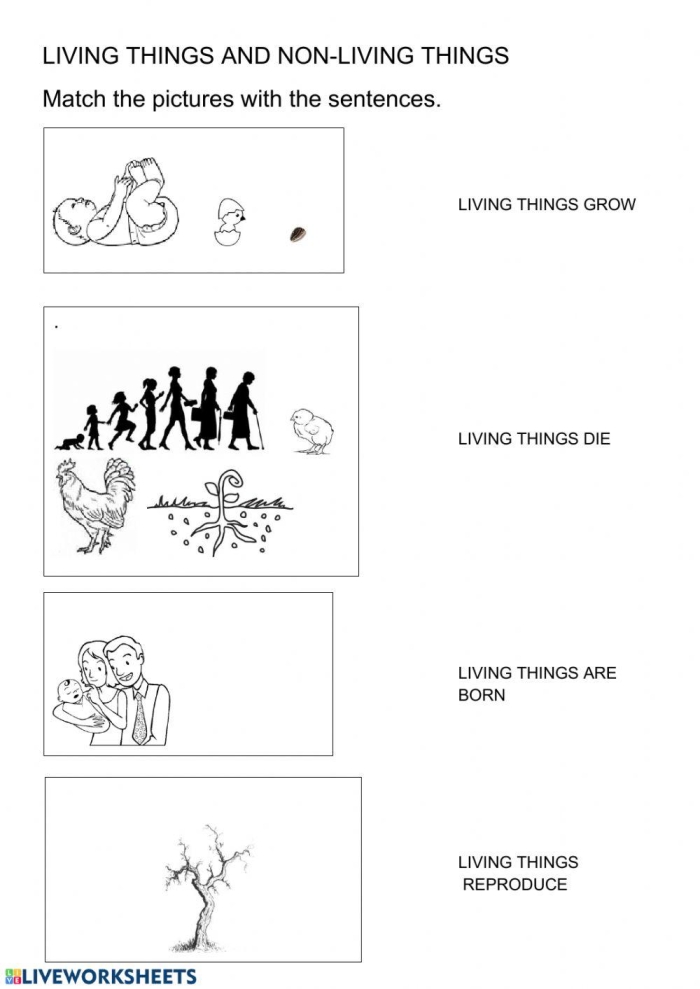 Living Things worksheet for mixed operations and fun identification activities Coloring worksheet featuring various living things for Pre-K learners