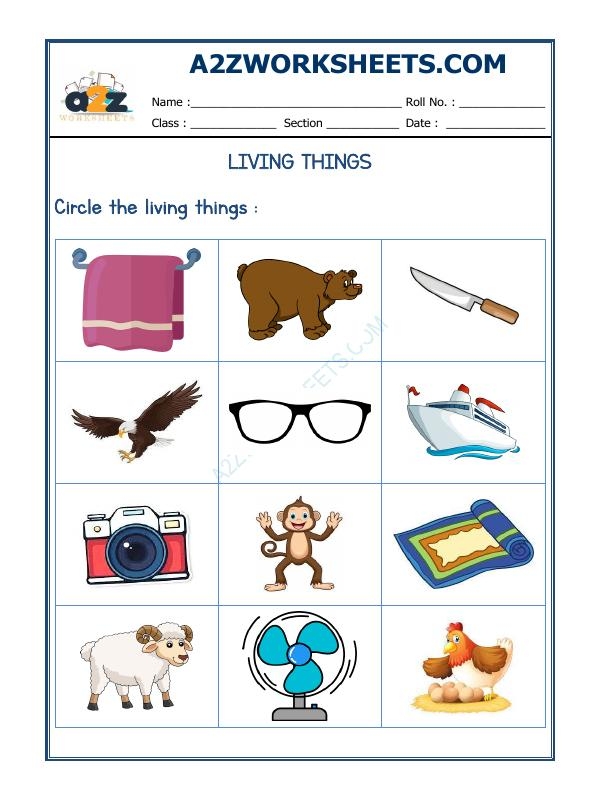 Engaging Living Things worksheet for early learners to explore and color Coloring worksheet featuring different living things for Pre-K students