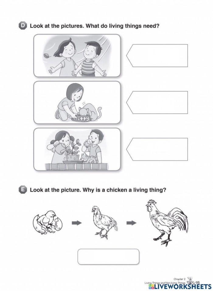 Living Things Identification and Coloring Activity for Kids Coloring worksheet for Pre-K students to explore living things