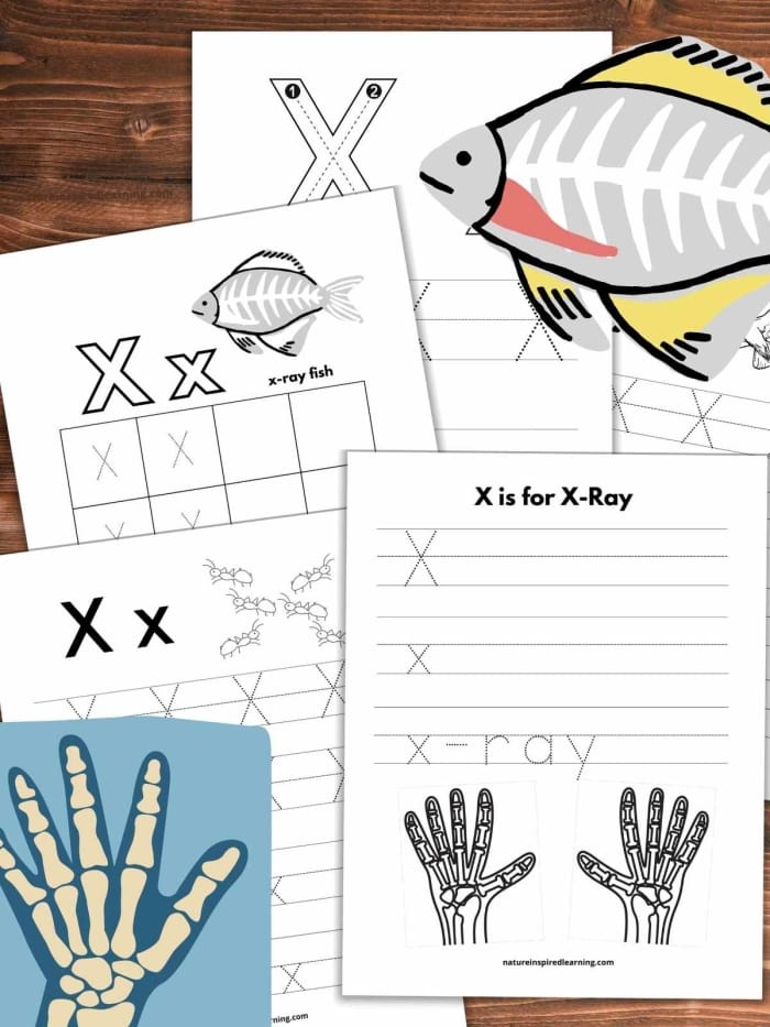 X is for X-Ray Fish Alphabet Worksheet 5 Coloring page featuring an X-ray fish for pre-k alphabet learning