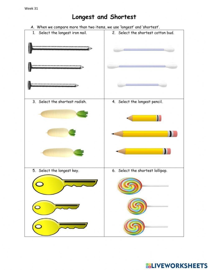 Pre-K geometry worksheet for identifying height weight and age differences between objects