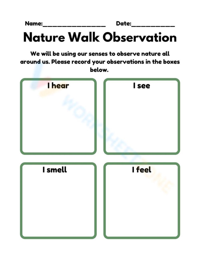 Observation Skills Fun worksheet featuring colorful counting activities for Pre-K children
