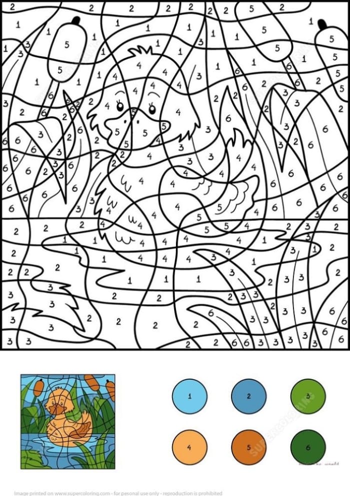 Color by number worksheet featuring two ducks swimming in a pond for preschoolers