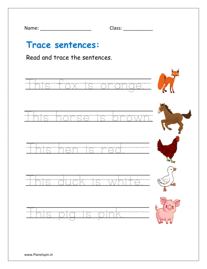 Pre-K student practicing literacy skills with a trace the sentences worksheet