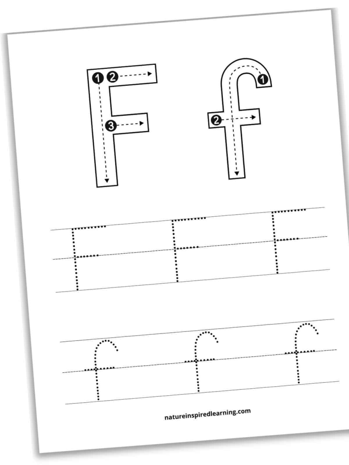 Worksheet for practicing tracing the letter F in prekindergarten reading activities Kids practicing tracing the letter F on a Pre-K worksheet to enhance fine motor skills