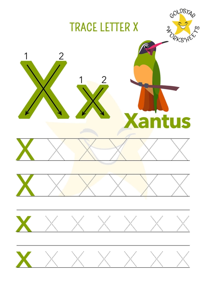 Worksheet for practicing tracing the letter X for Pre-K students to enhance fine motor skills