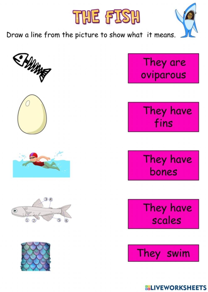 Fish Frenzy Worksheet 12: Curved Line Tracing Activity for Preschool Letter Formation Pre-K alphabet tracing worksheet showing colorful fish swimming through ocean waves with curved line paths to follow from left to right
