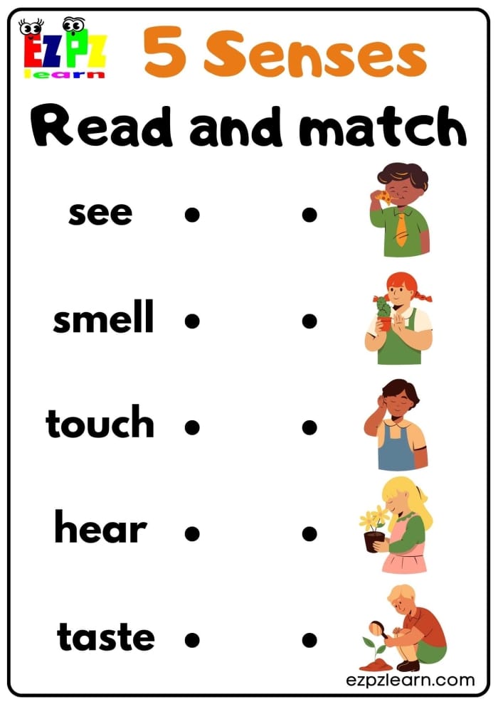 Worksheet featuring My Five Senses Match-Up 1 for pre-K students to match senses to images