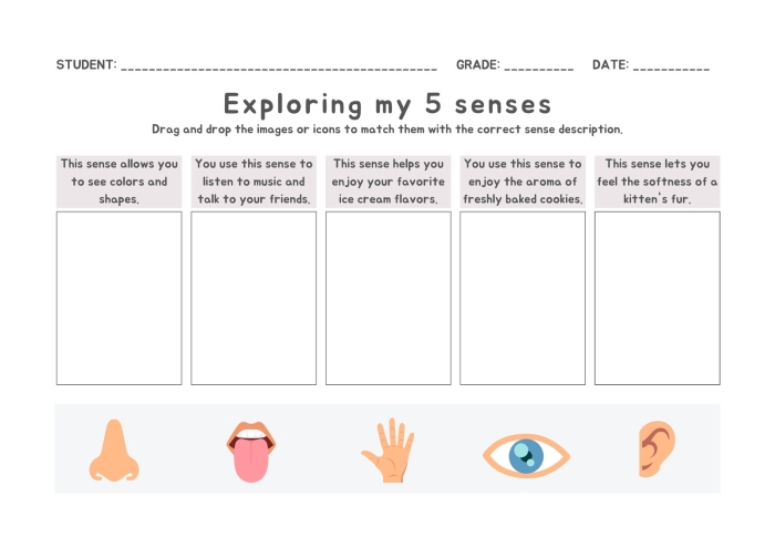 Worksheet for matching pictures to the five senses for Pre-K students
