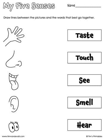 Pre-K life science worksheet featuring a matching activity for the five senses labeled My Five Senses Match-Up 1