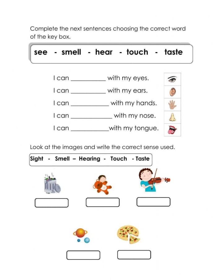 Five senses worksheet for Pre-K students featuring a matching activity