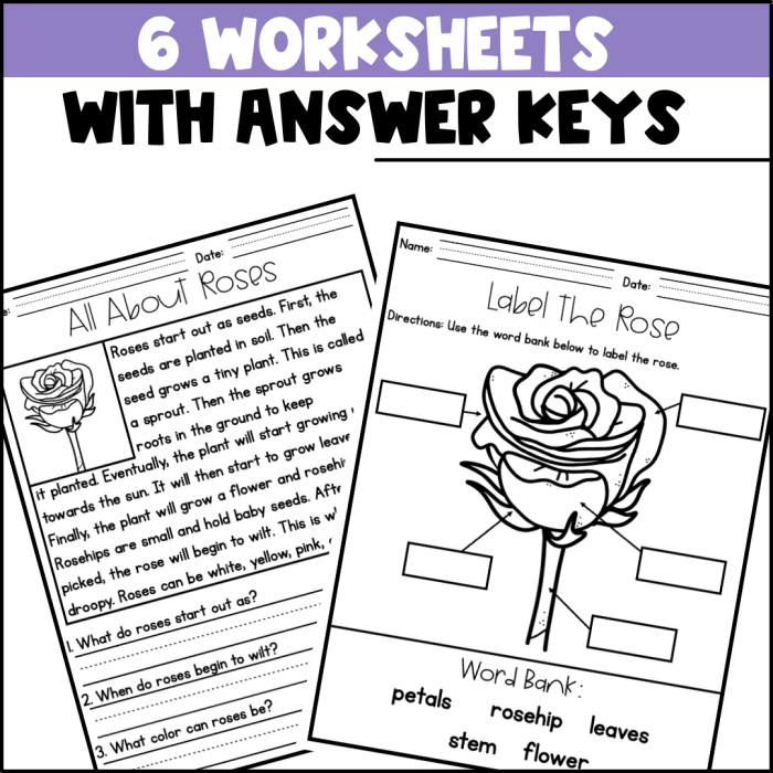 Coloring page featuring roses for kids to enjoy and express their creativity
