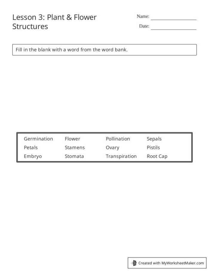 Engaging flower fill-in worksheet for Pre-K students to enhance their knowledge of flowers Colorful worksheet for preschoolers to complete a flower fill-in activity about flower parts