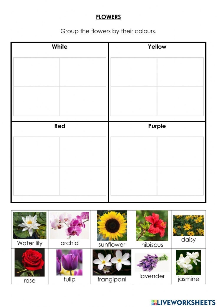 Complete a Flower Fill-In! worksheet for Pre-K science exploration Colorful worksheet for preschoolers to learn about flower parts through fill-in activities