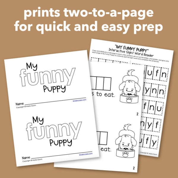 Worksheet featuring a creative arts and crafts activity for the sight word "funny