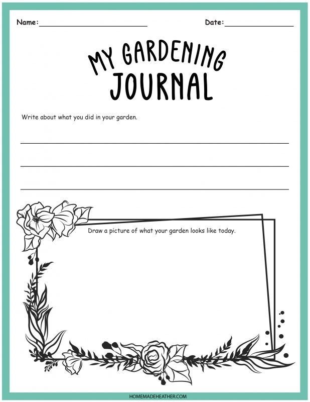 Pre-K geometry worksheet featuring a garden planting activity with fruit cutouts for coloring and arranging