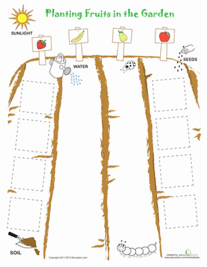 A young child coloring and cutting out colorful fruit shapes to plant in a garden scene on a worksheet