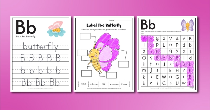 Engaging Fly, Butterfly, Fly! worksheet for Pre-K geometry activities Colorful butterflies tracing curved paths on a worksheet for geometry practice