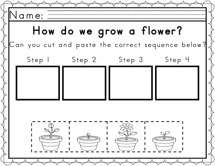 Mixed Operations worksheet for Pre-K Students engage with the Image Sequencing Check-In worksheet to practice event order. Visual representation of a Pre-K mixed operations assessment on sequencing events.