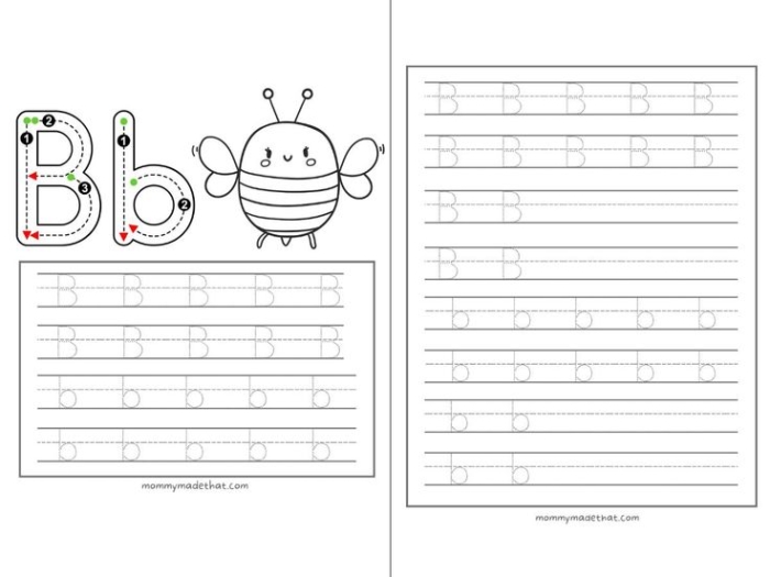 Prekindergarten worksheet for tracing the letter B to enhance fine motor skills