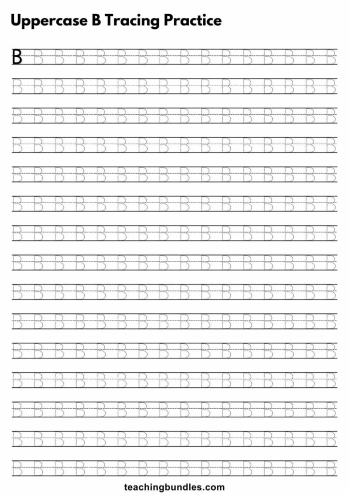 Prekindergarten worksheet showing lines and letter B tracing practice for number 17