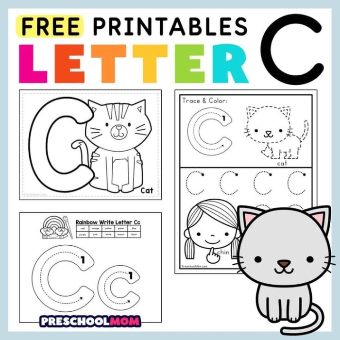Worksheet featuring activities for identifying words that begin with the letter C for young learners