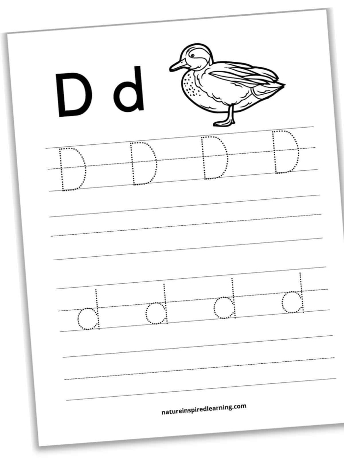 Pre-K worksheet showing a child practicing line strokes and tracing the letter D to build fine motor skills